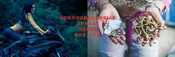 молекула духа Баксан