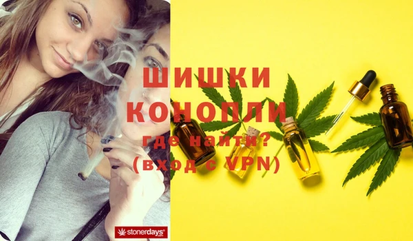 молекула духа Баксан
