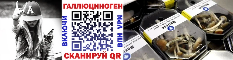 Псилоцибиновые грибы GOLDEN TEACHER  дарнет шоп  Сегежа 